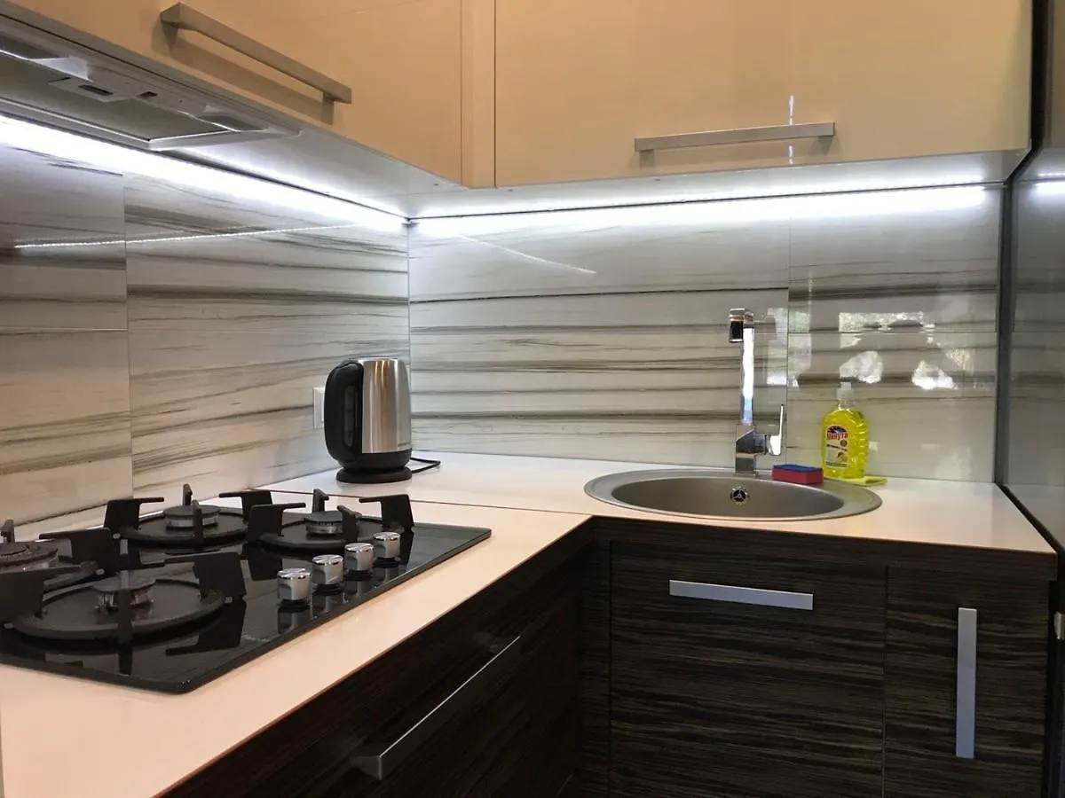 Central Apartment Nemiga Minsk